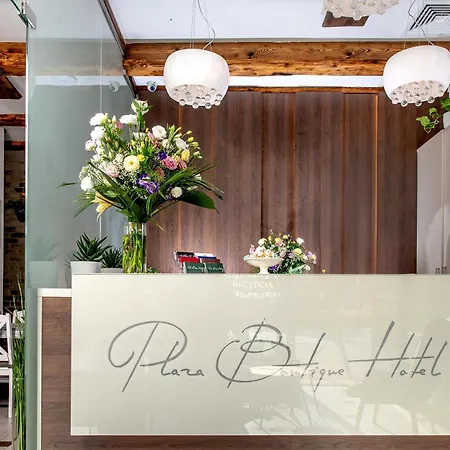 Plaza Boutique Hotel-3